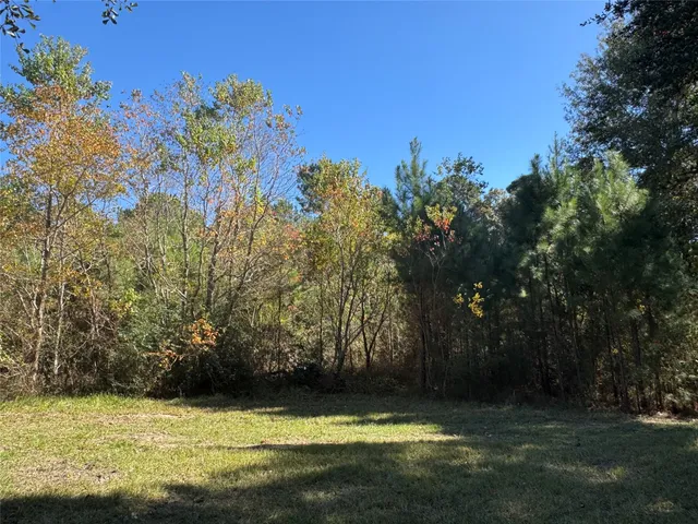 a view of a pathway with a yard