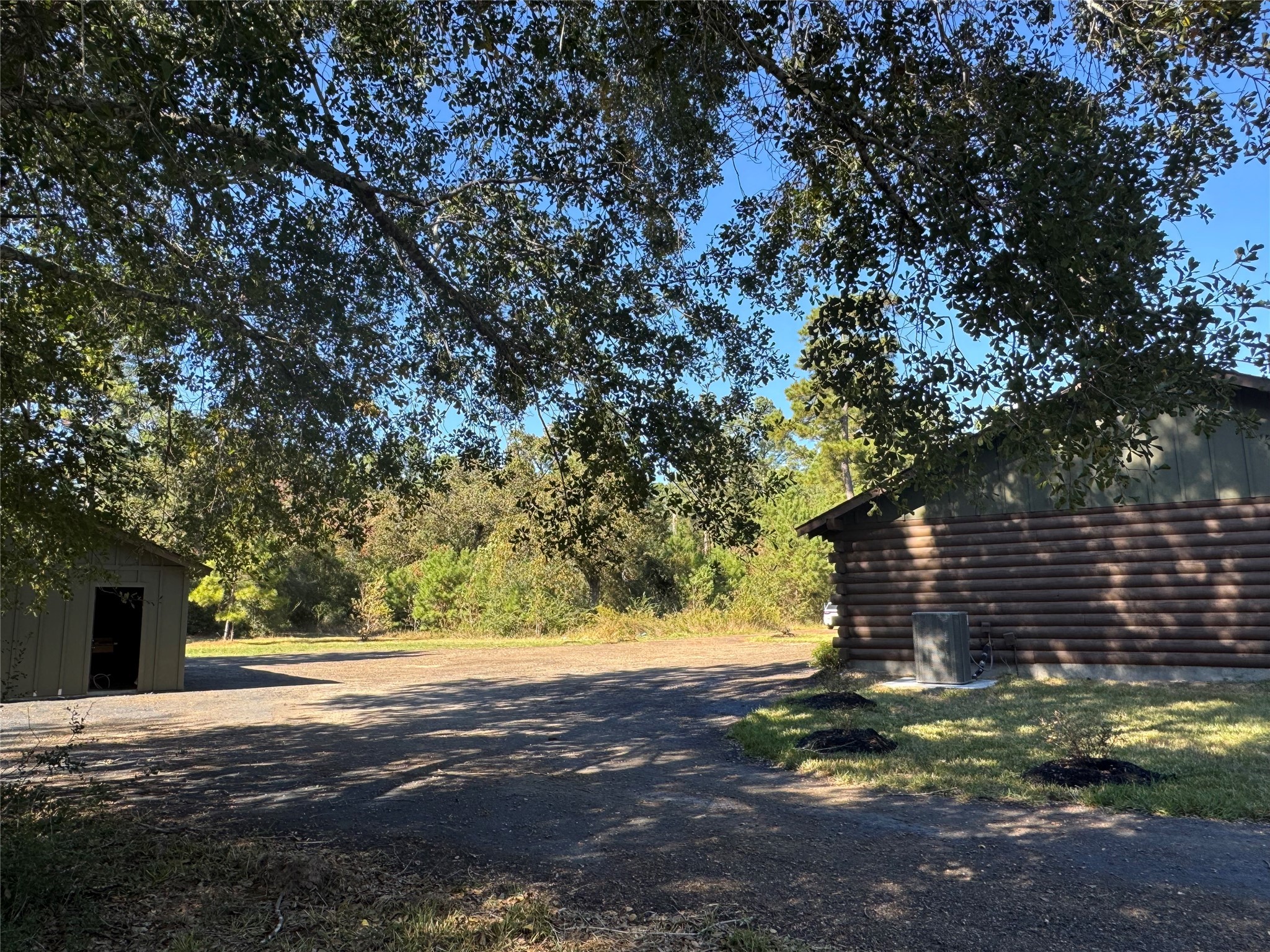 24879 Macedonia Road Hockley, TX 77447 - Photo 17 of 32 a view of yard and tree