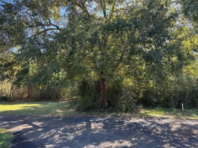 a view of a yard with trees