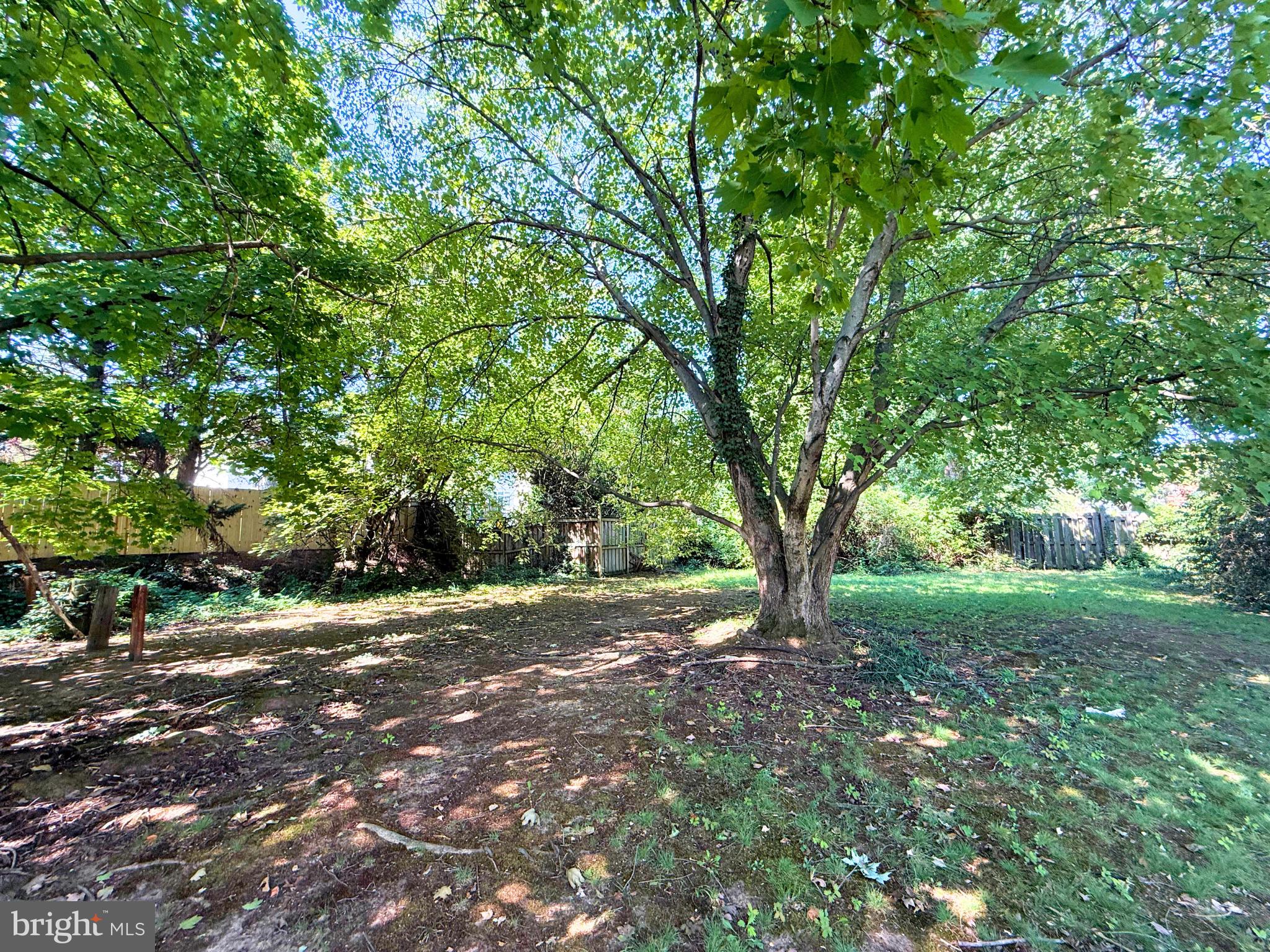 600 West Glebe Road Alexandria, VA 22305 - Photo 7 of 11 Gallery Image 7