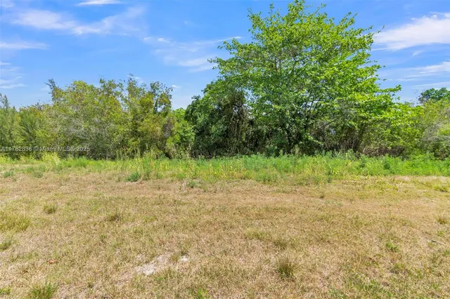 a view of a field with trees in the background