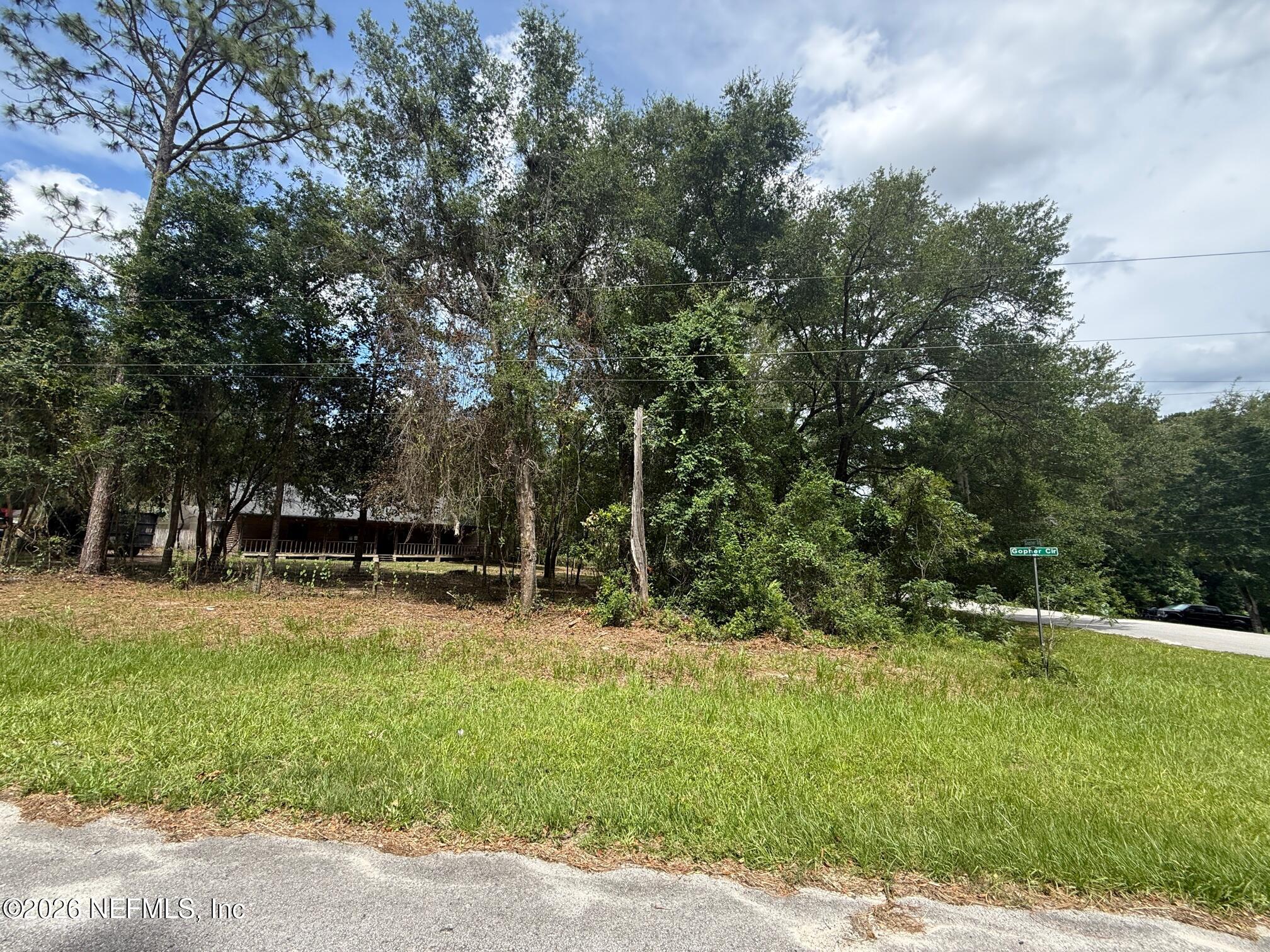 4883 Gopher Circle Middleburg, FL 32068 - Photo 3 of 29 front from street