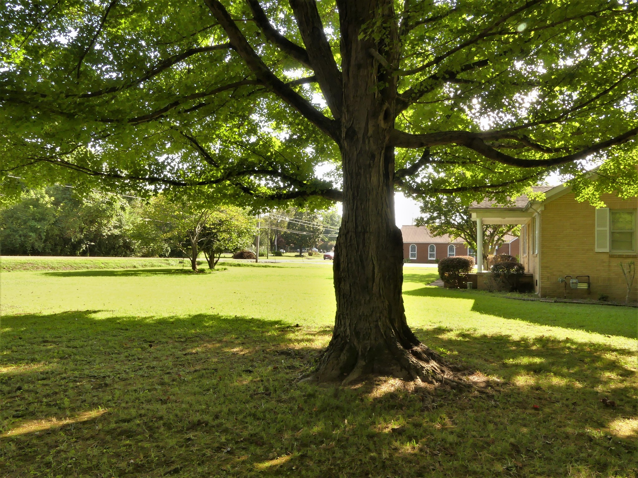 865 Clifton Road Savannah, TN 38372 - Photo 27 of 49 Gallery Image 27