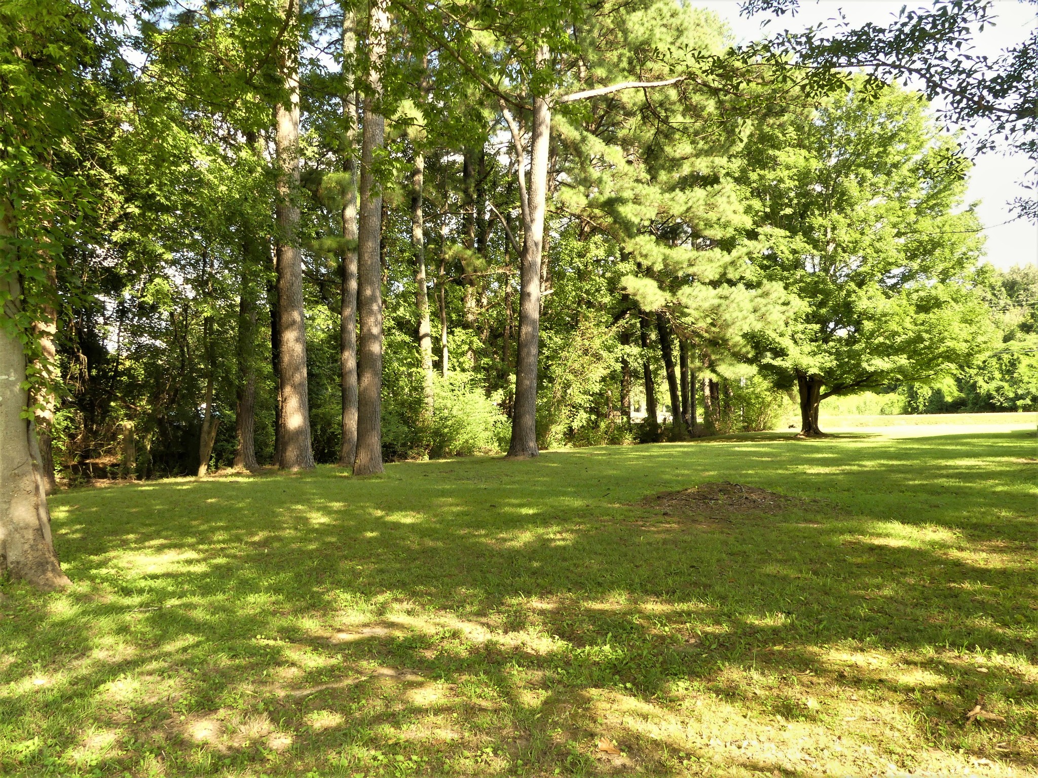 865 Clifton Road Savannah, TN 38372 - Photo 29 of 49 Gallery Image 29