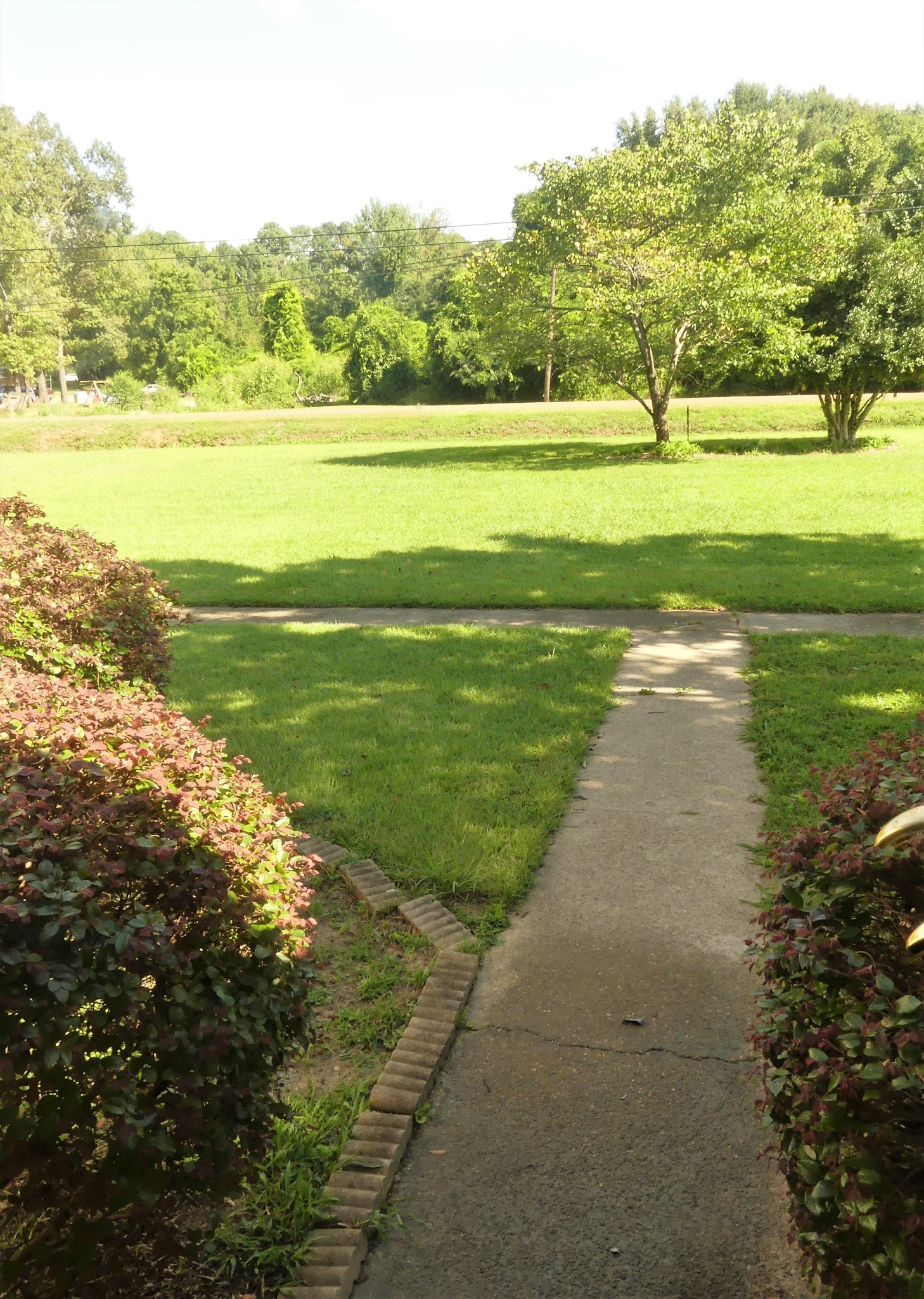 865 Clifton Road Savannah, TN 38372 - Photo 6 of 49 Gallery Image 6