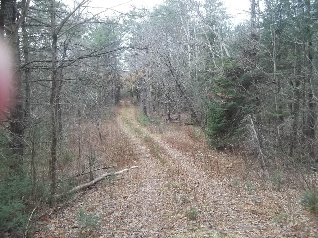 08-e 0 Rines Road Burnham, ME 04922 - Photo 17 of 17 Photo
