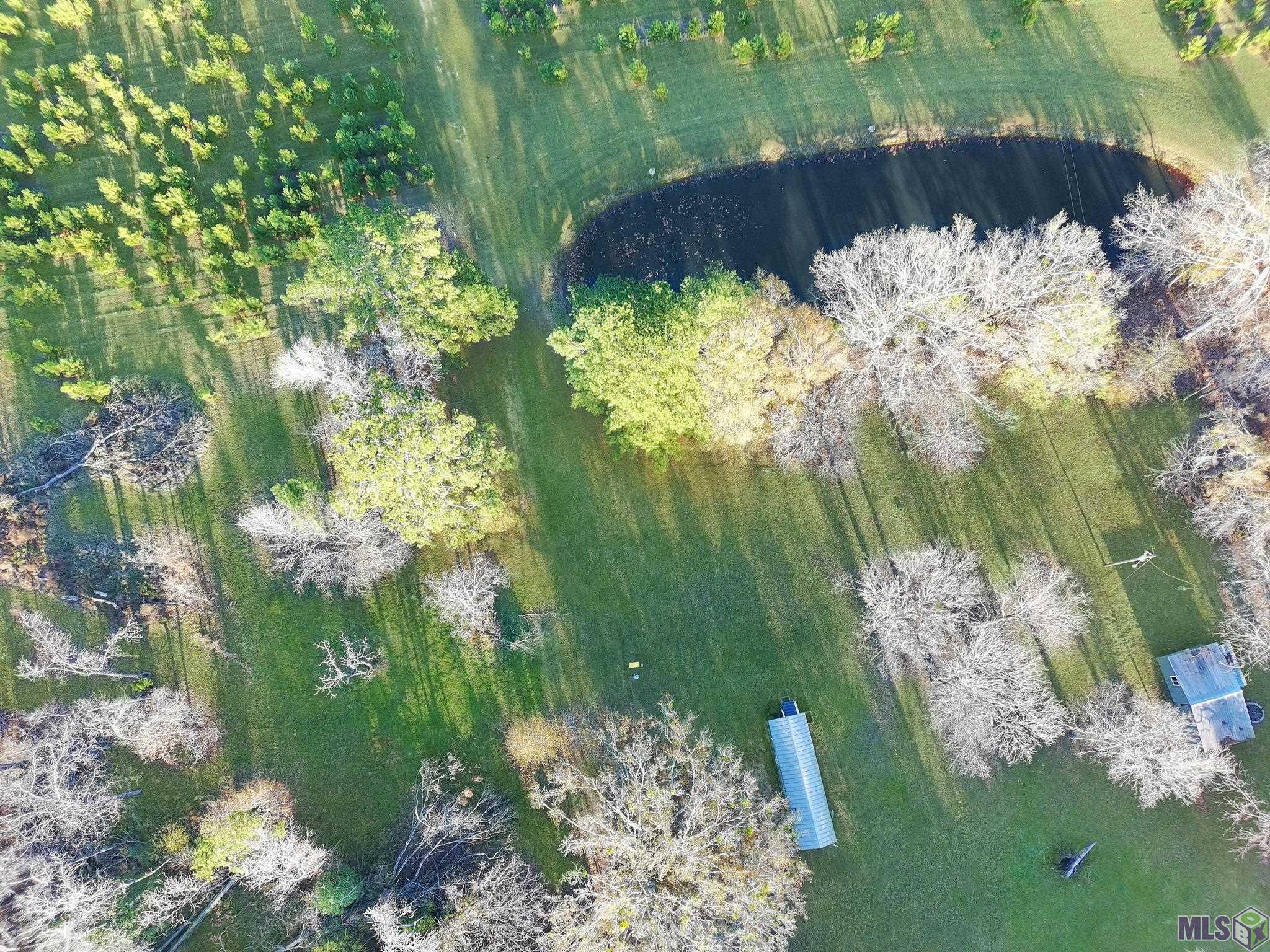 1558 Tommy Whitaker Road St. Francisville, LA 70775 - Photo 26 of 41