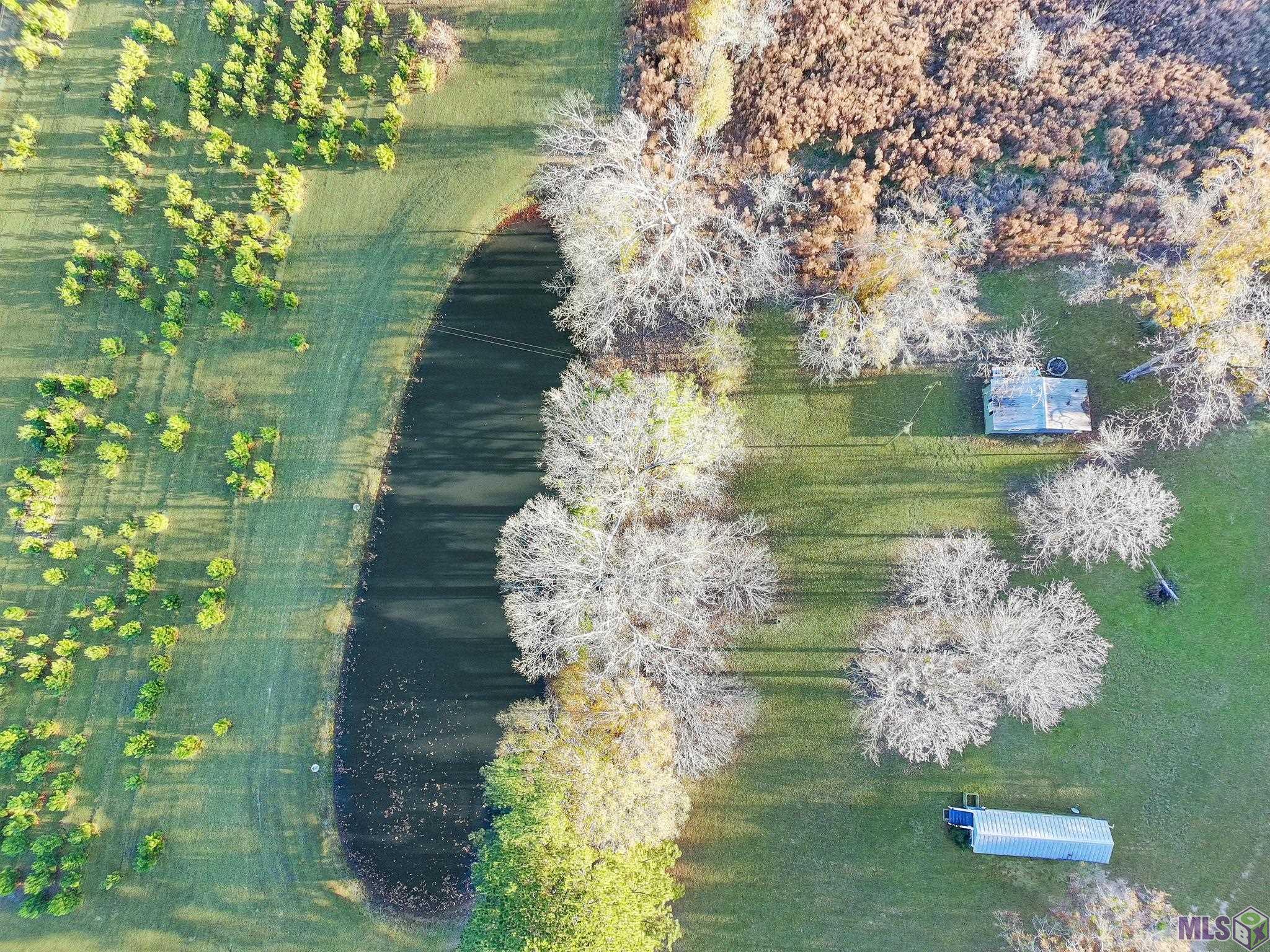 1558 Tommy Whitaker Road St. Francisville, LA 70775 - Photo 27 of 41