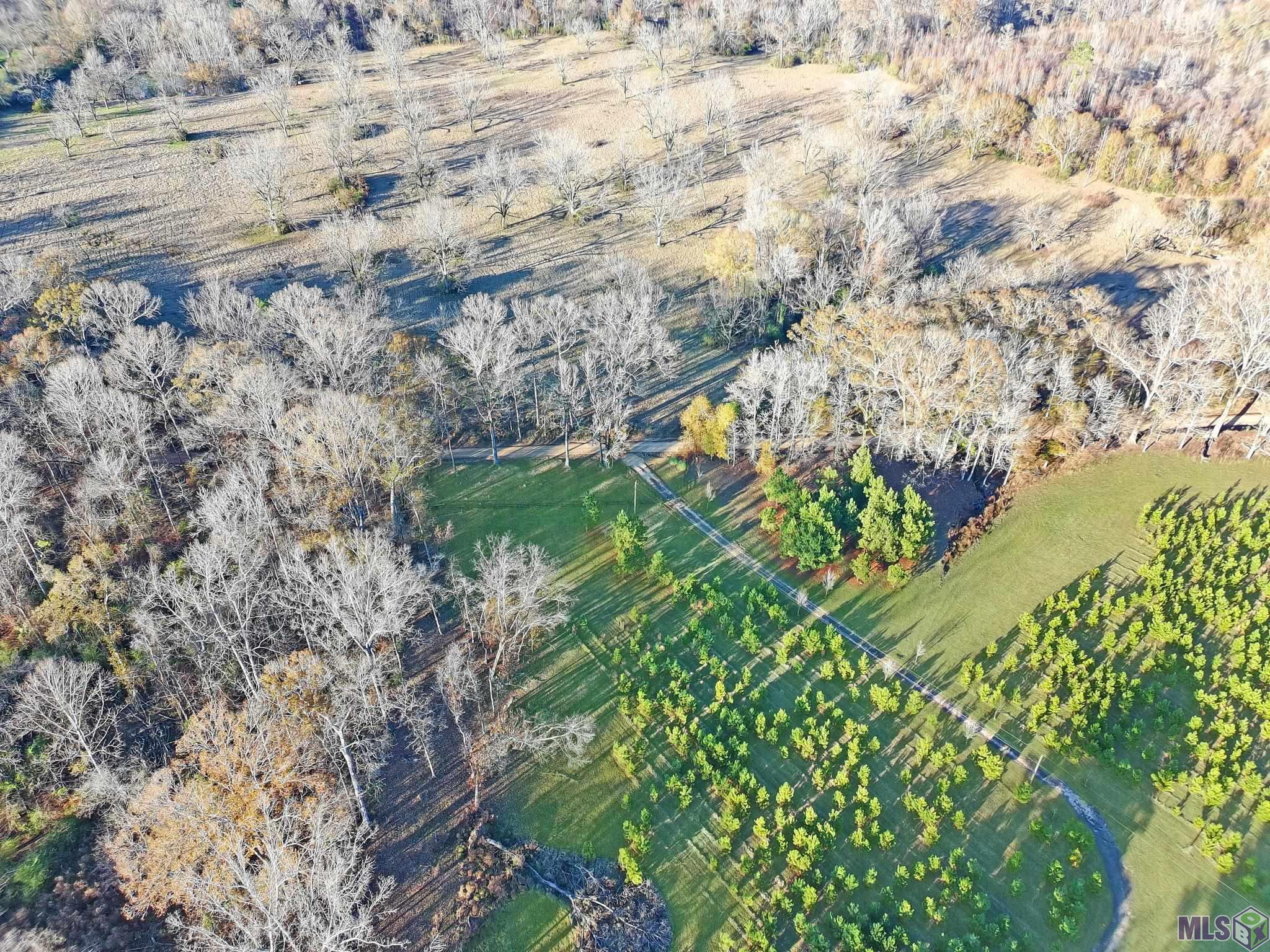 1558 Tommy Whitaker Road St. Francisville, LA 70775 - Photo 30 of 41