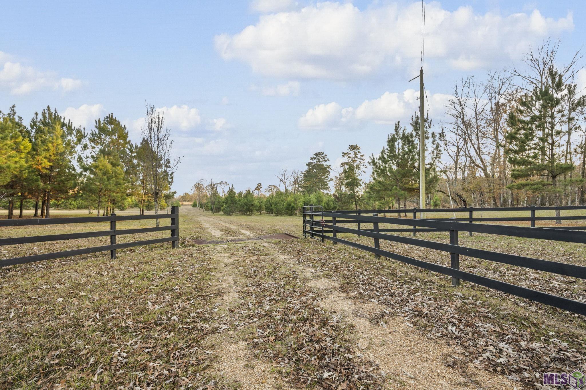1558 Tommy Whitaker Road St. Francisville, LA 70775 - Photo 3 of 41
