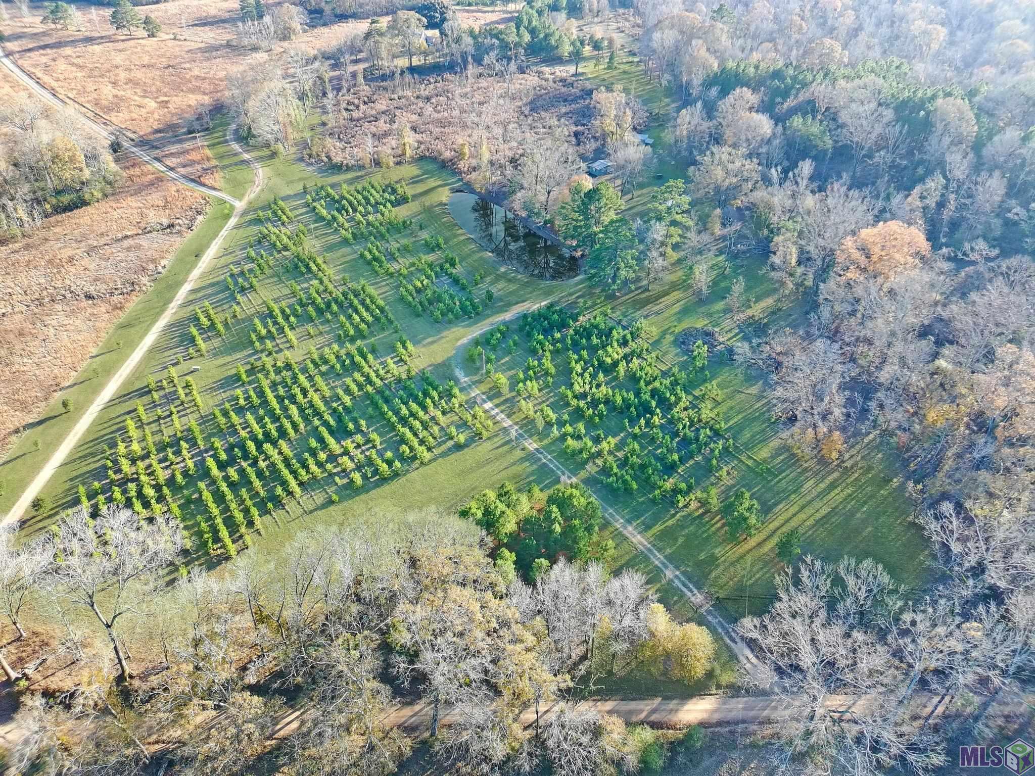 1558 Tommy Whitaker Road St. Francisville, LA 70775 - Photo 33 of 41