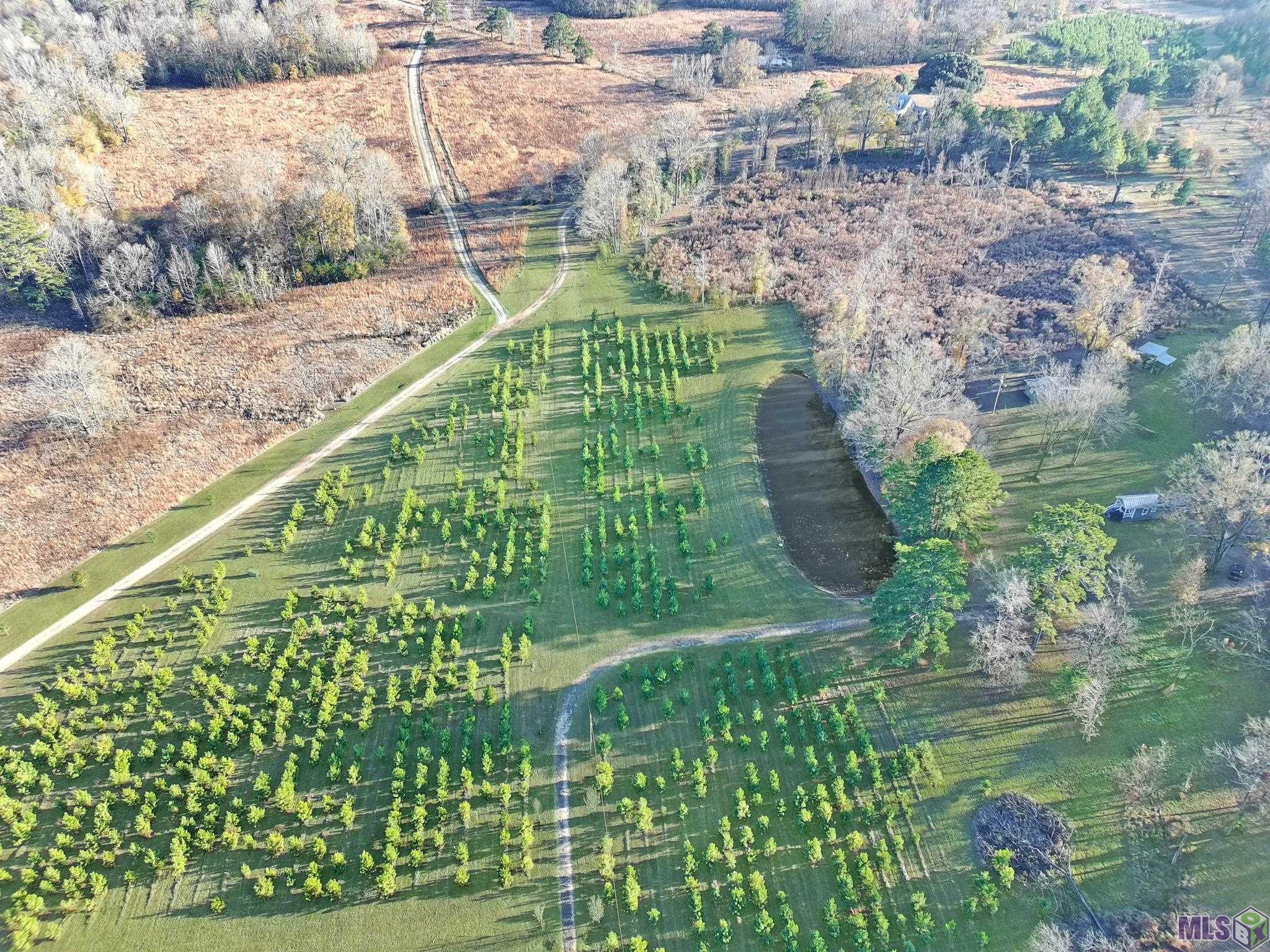 1558 Tommy Whitaker Road St. Francisville, LA 70775 - Photo 34 of 41