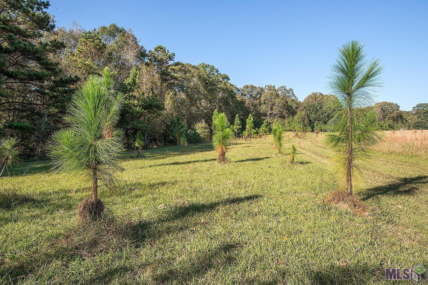 1558 Tommy Whitaker Road St. Francisville, LA 70775 - Photo 35 of 41