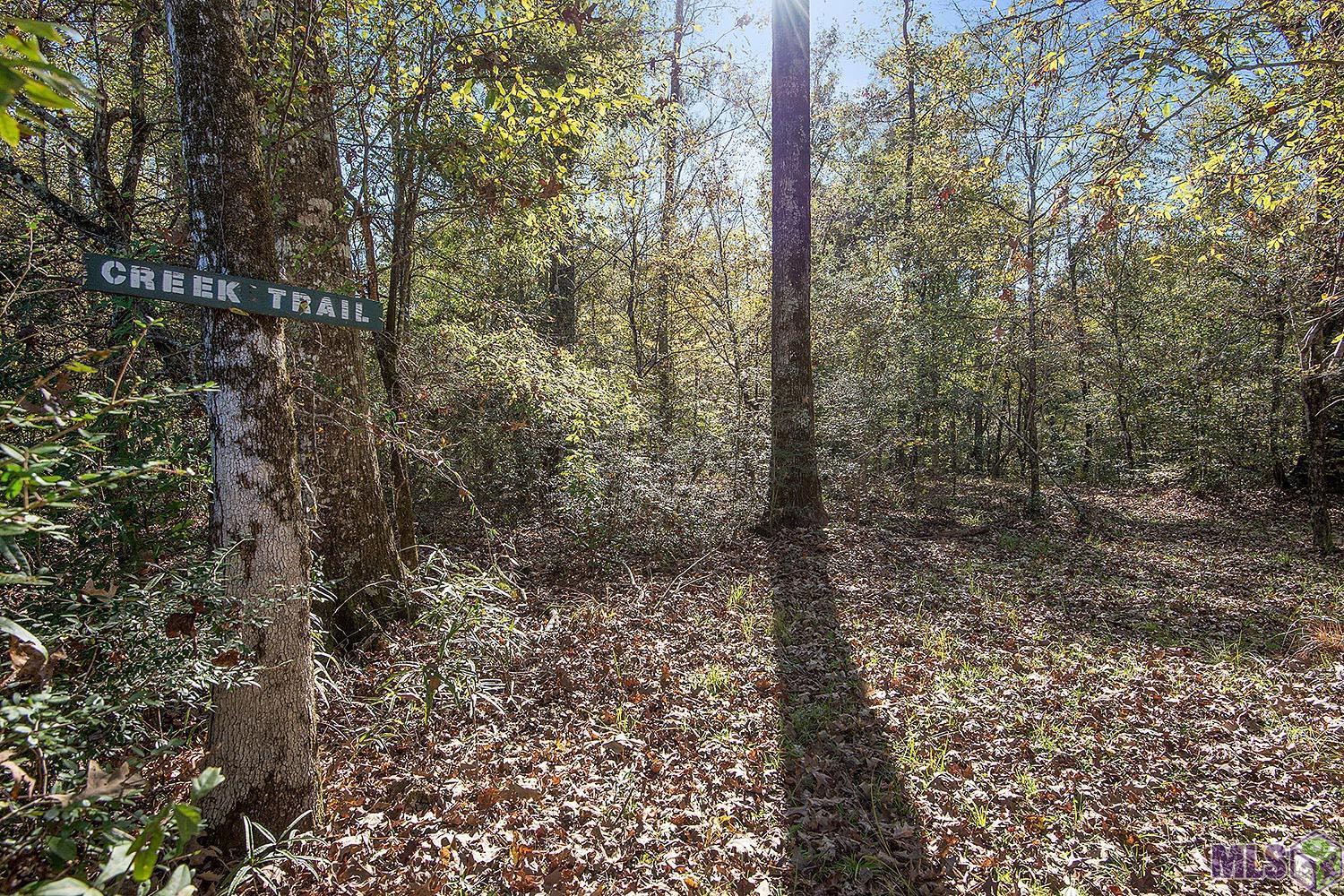 1558 Tommy Whitaker Road St. Francisville, LA 70775 - Photo 37 of 41