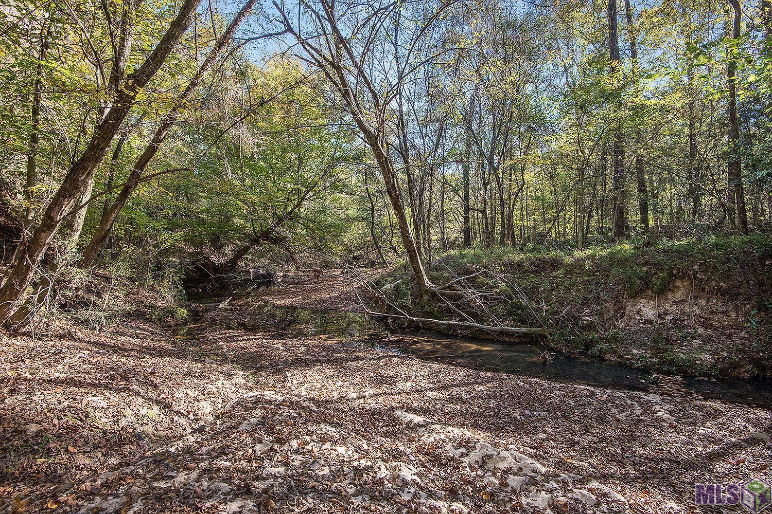 1558 Tommy Whitaker Road St. Francisville, LA 70775 - Photo 39 of 41