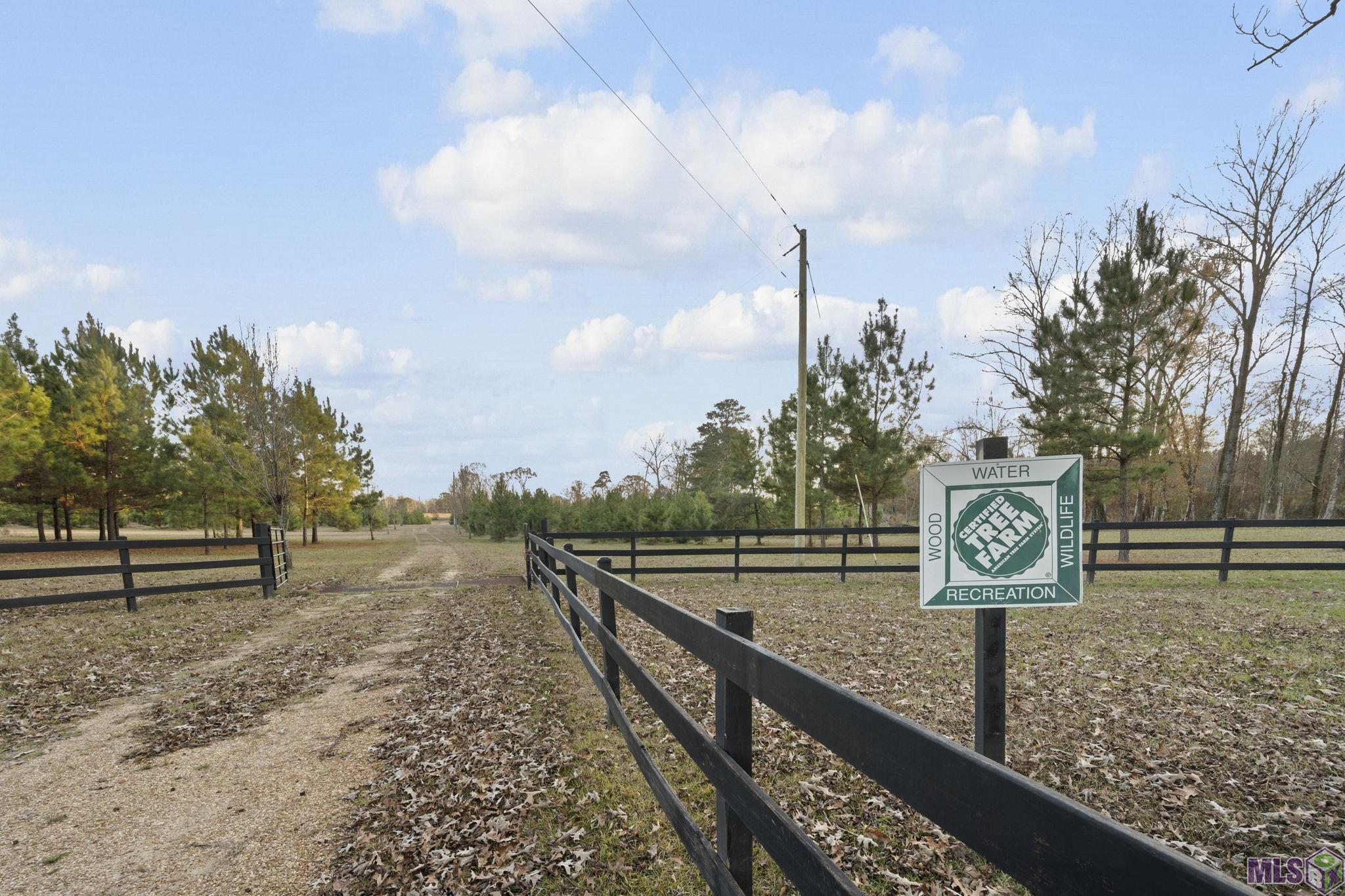 1558 Tommy Whitaker Road St. Francisville, LA 70775 - Photo 4 of 41