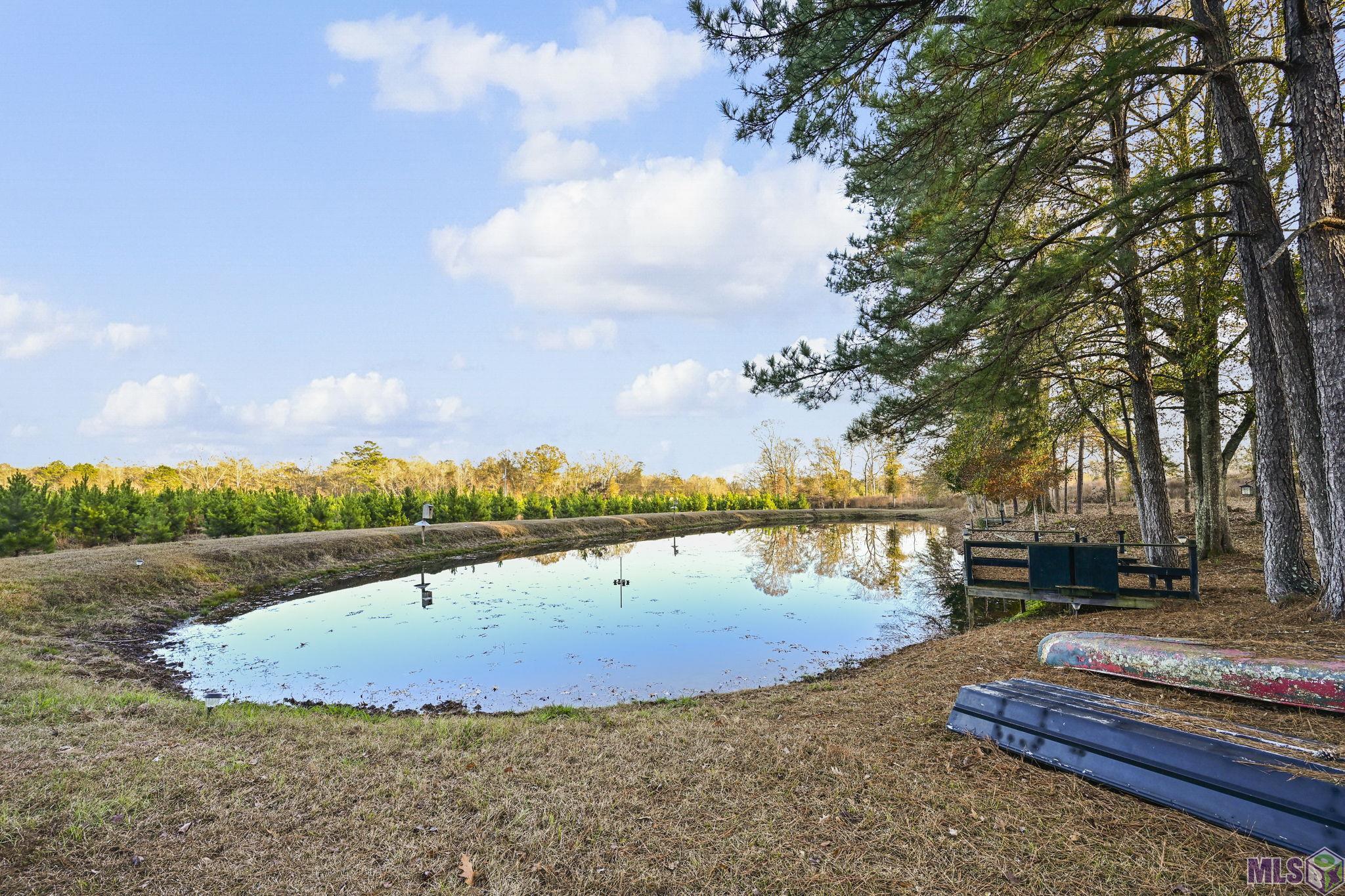 1558 Tommy Whitaker Road St. Francisville, LA 70775 - Photo 7 of 41