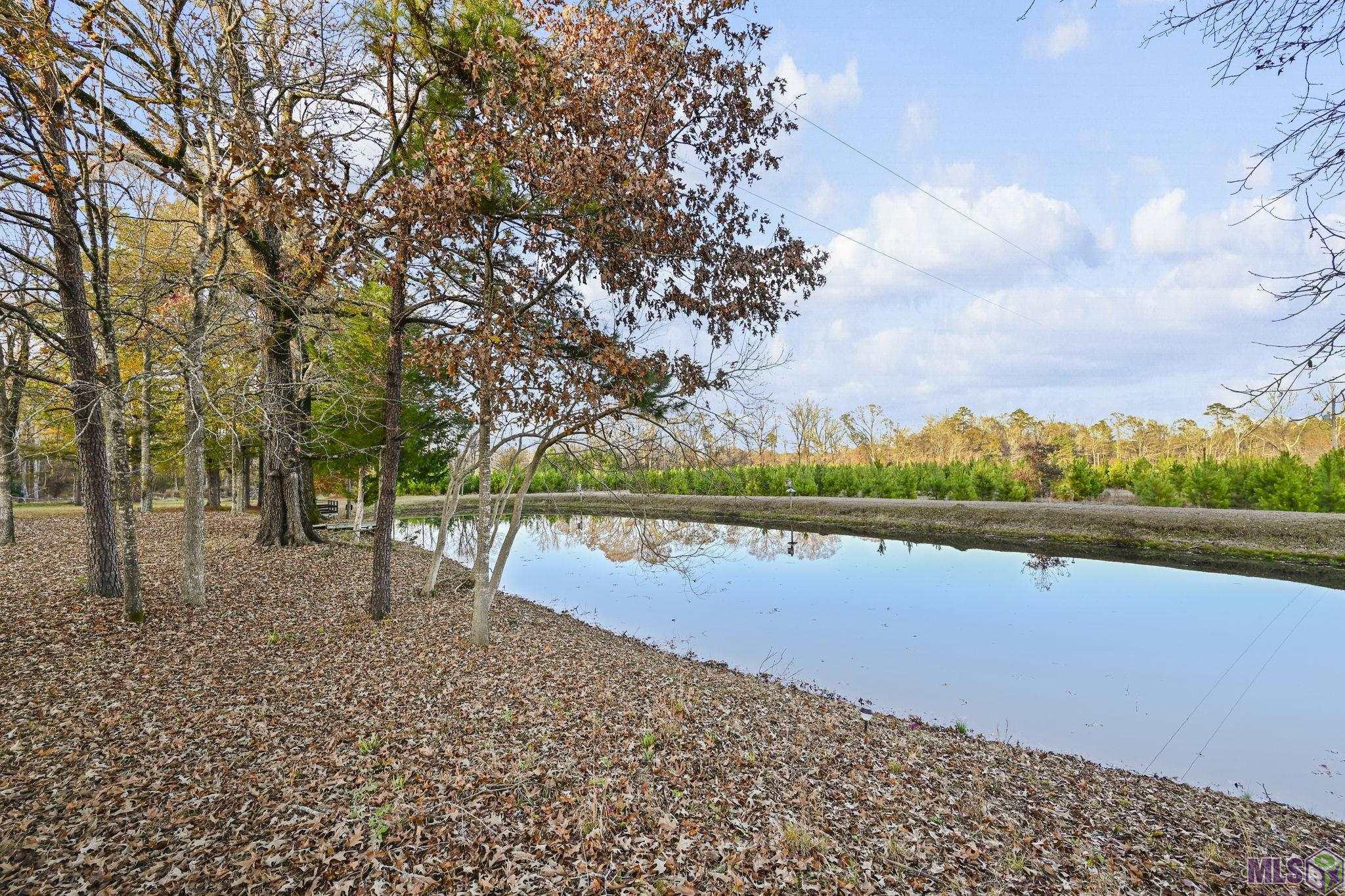 1558 Tommy Whitaker Road St. Francisville, LA 70775 - Photo 8 of 41