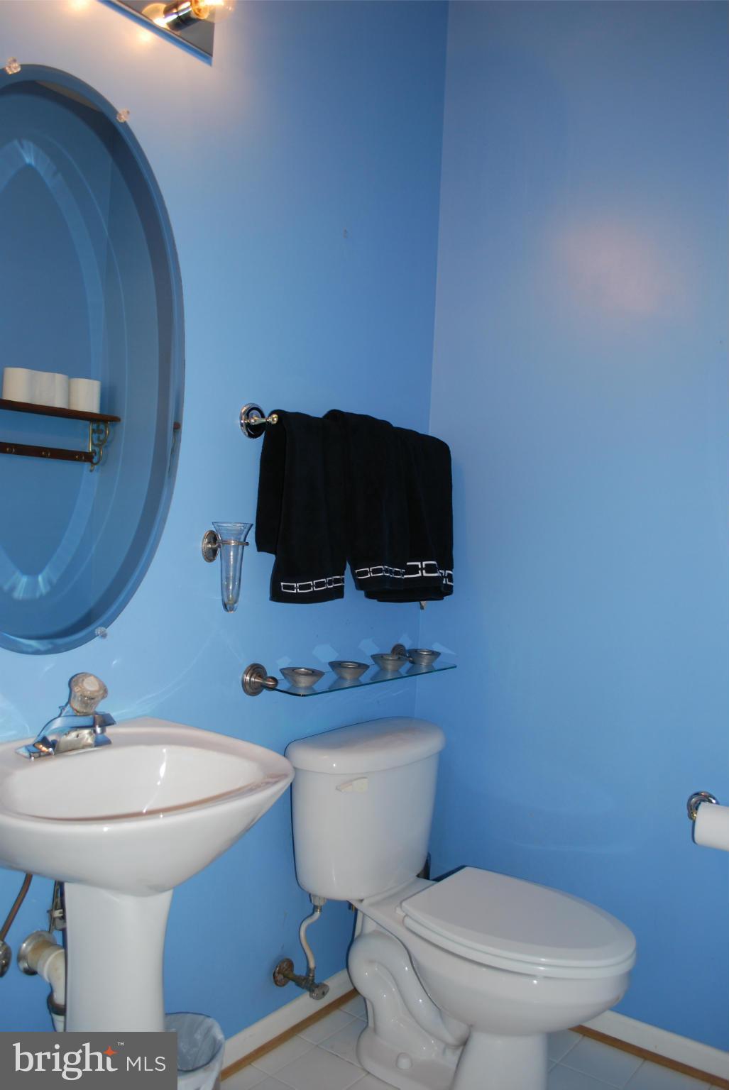 685 Race Course Road Warrenton, VA 20186 - Photo 12 of 30 Powder room main level