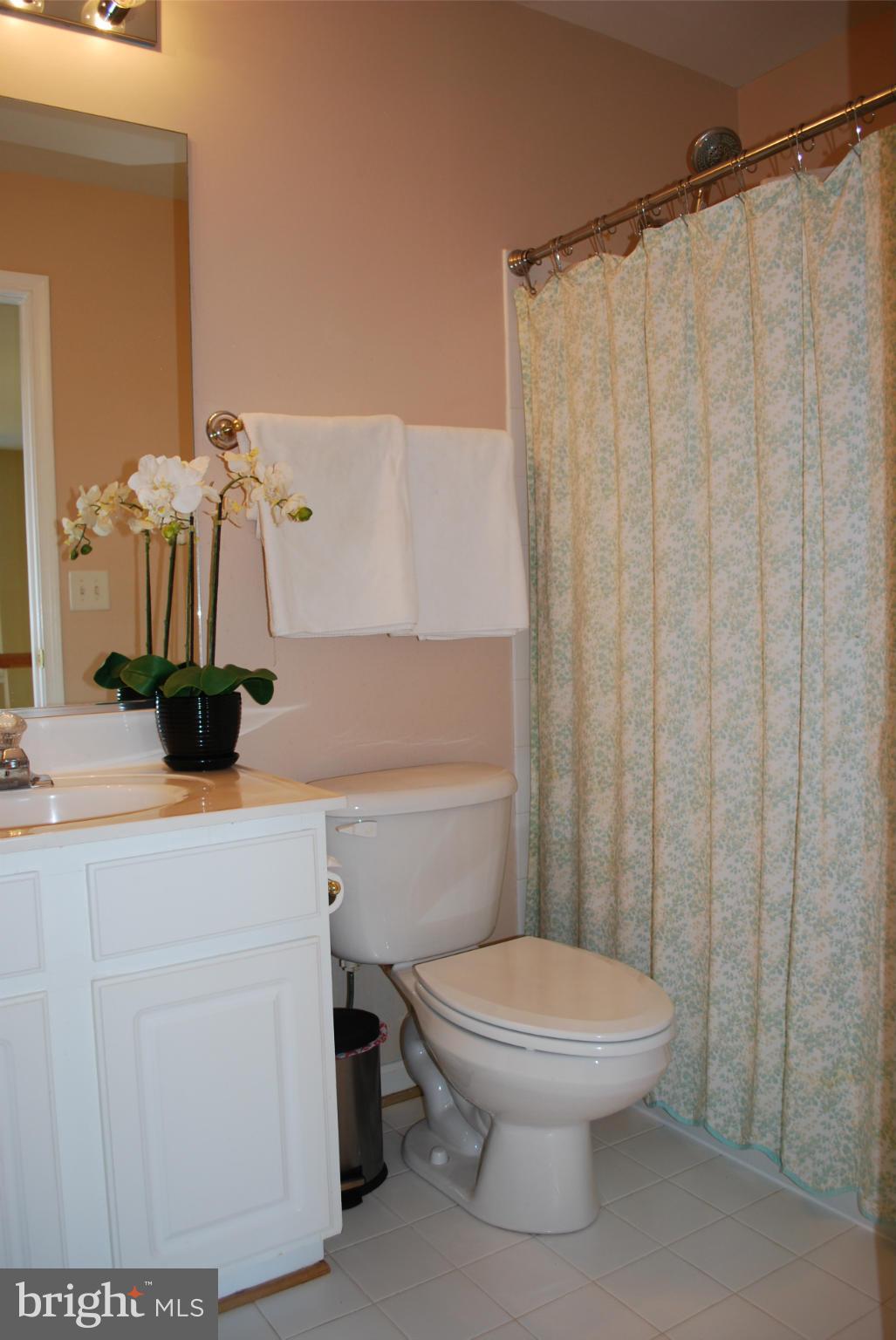 685 Race Course Road Warrenton, VA 20186 - Photo 18 of 30 Bath
