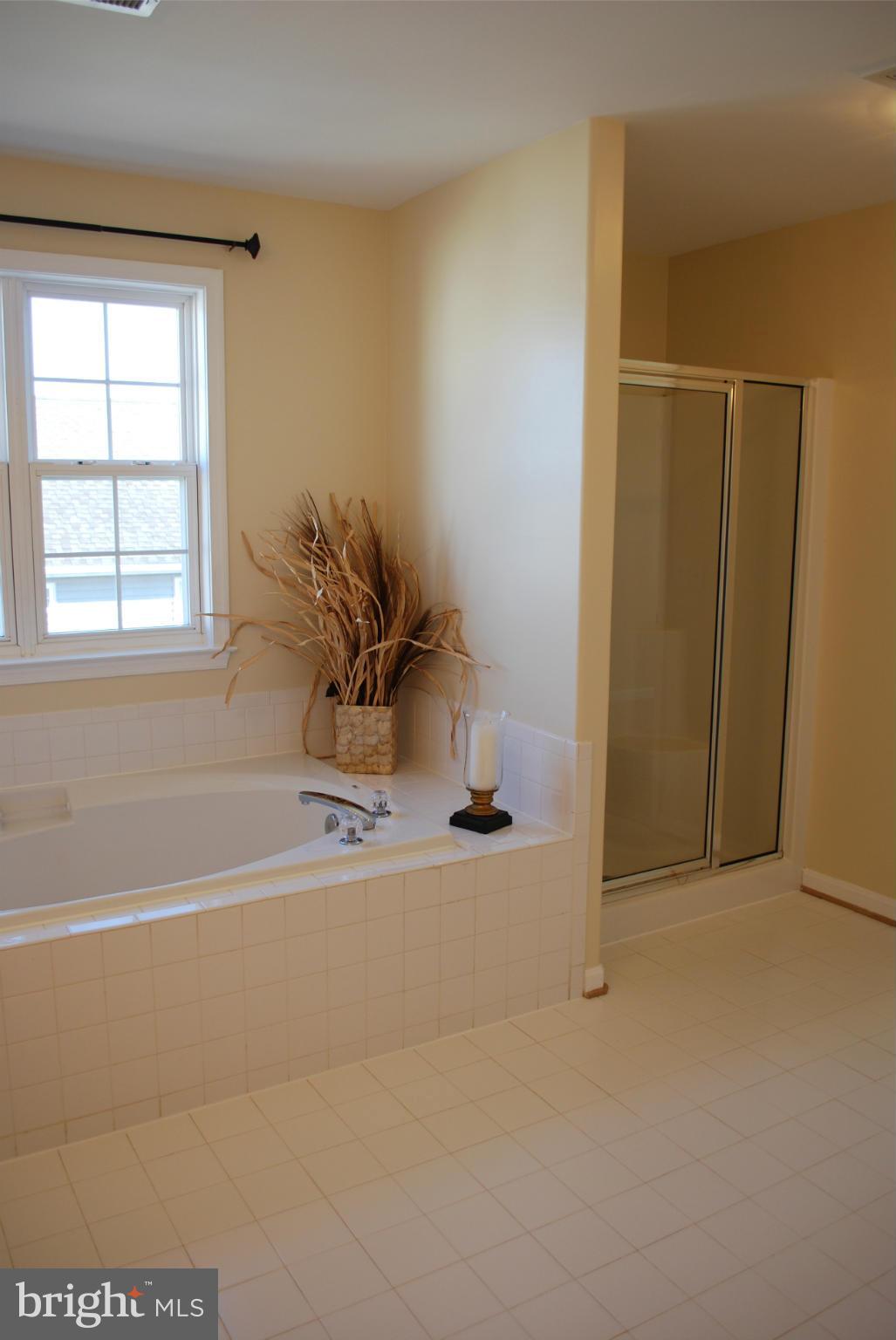 685 Race Course Road Warrenton, VA 20186 - Photo 25 of 30 Bath (Master)