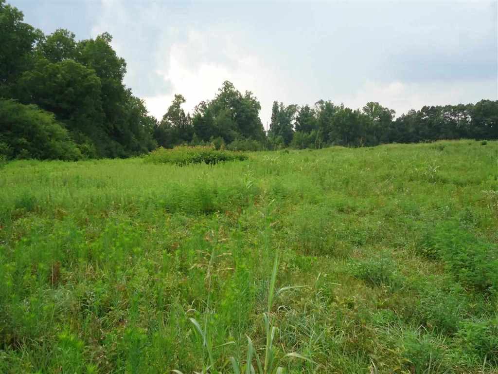 Armstrong Road Seneca, SC 29678 - Photo 1 of 2 Gallery Image 1