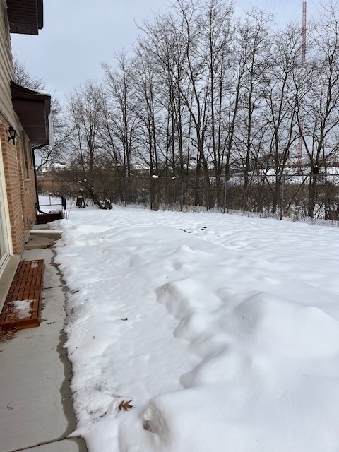 833 Heritage Drive, Unit 1 Addison, IL 60101 - Photo 13 of 14