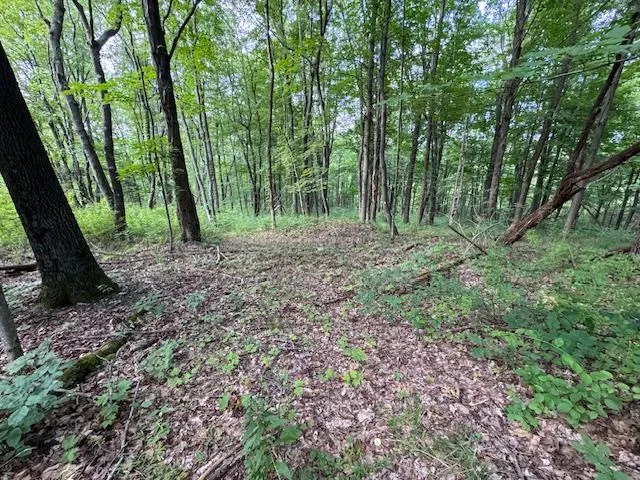 $699,000 | Manor Drive West, Lagrangeville, NY 00000