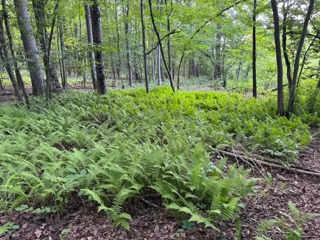 $699,000 | Manor Drive West, Lagrangeville, NY 00000