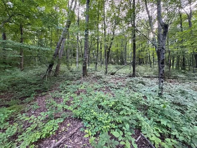 $699,000 | Manor Drive West, Lagrangeville, NY 00000