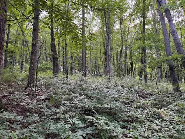 $699,000 | Manor Drive West, Lagrangeville, NY 00000