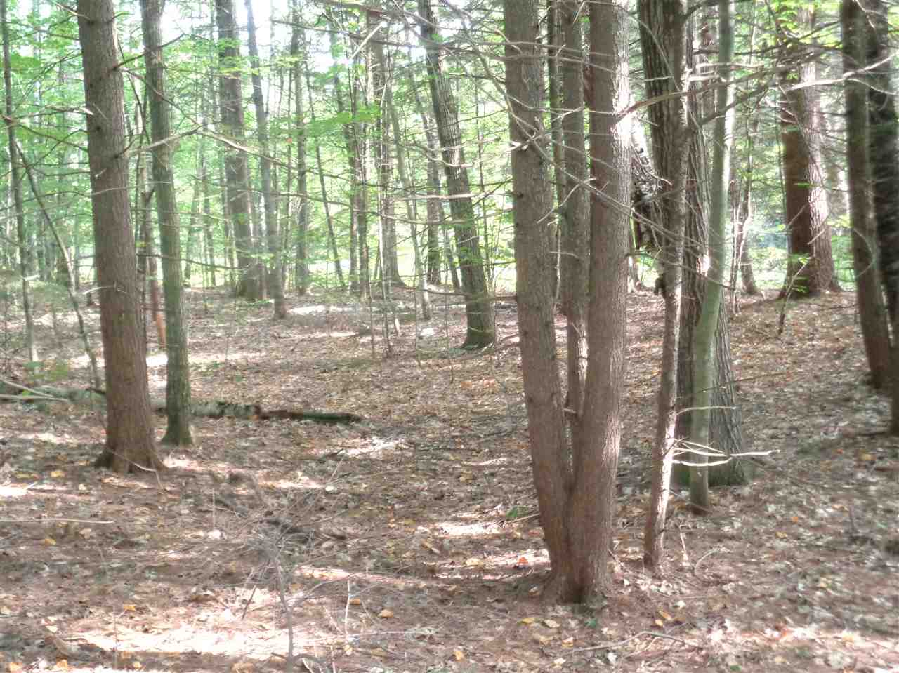 6 Alpine Road Bristol, NH 03222 - Photo 1 of 26 Gallery Image 1