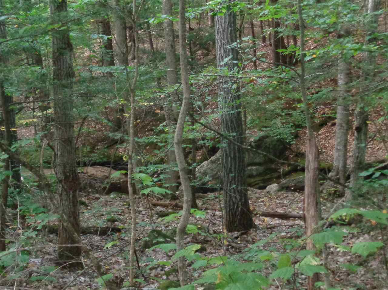 6 Alpine Road Bristol, NH 03222 - Photo 12 of 26 Gallery Image 12