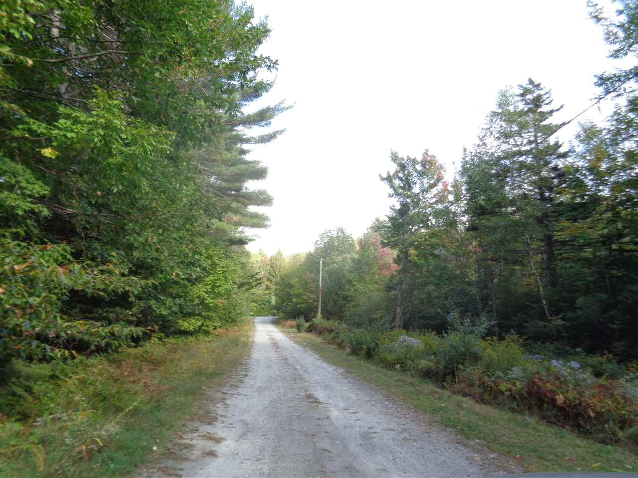 6 Alpine Road Bristol, NH 03222 - Photo 15 of 26 Gallery Image 15