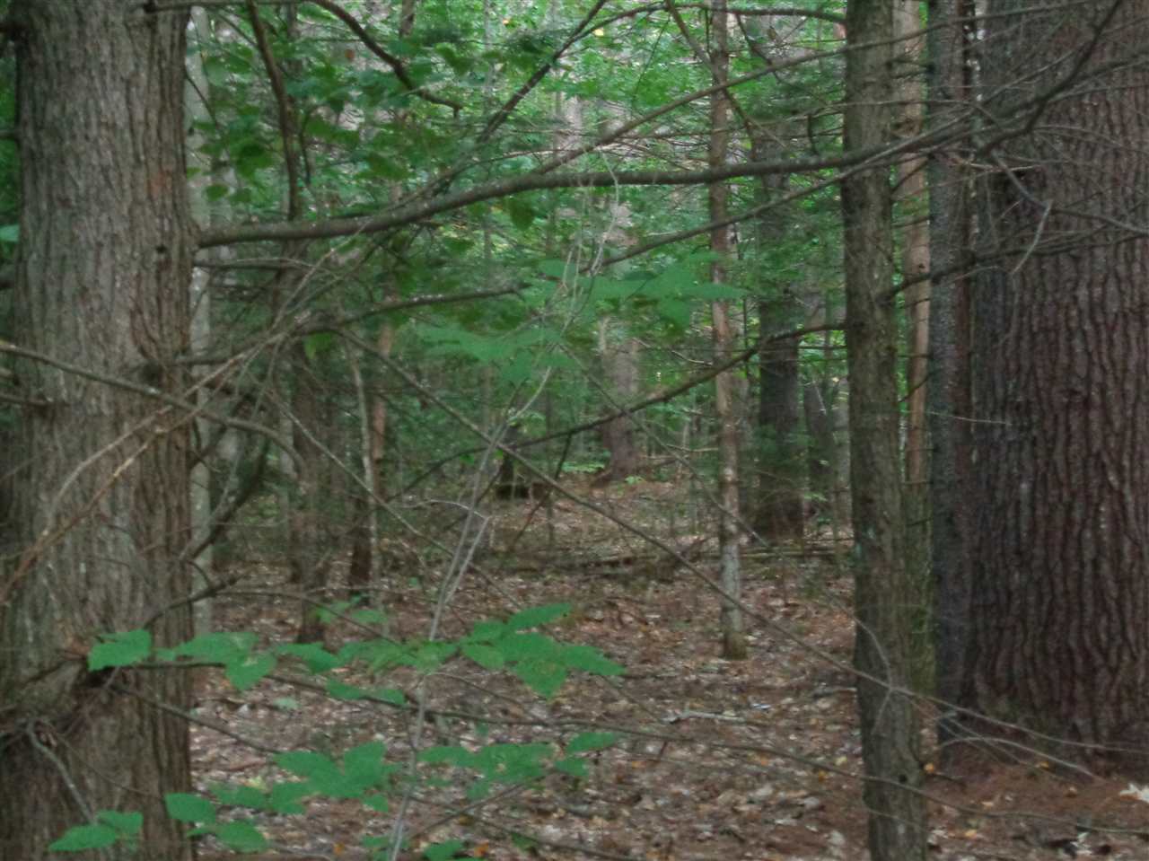 6 Alpine Road Bristol, NH 03222 - Photo 3 of 26 Gallery Image 3