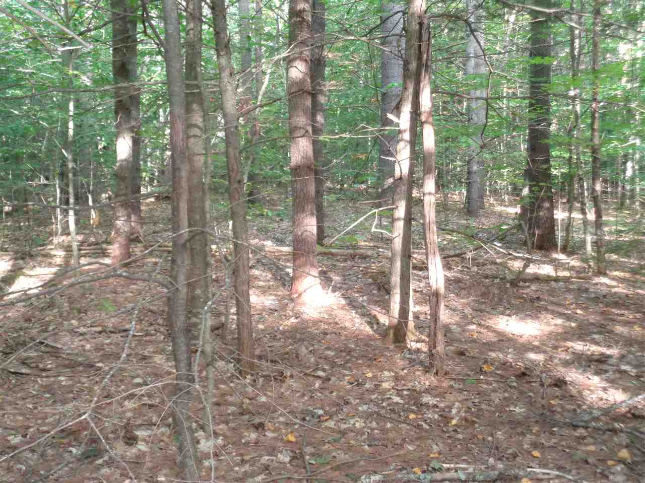 6 Alpine Road Bristol, NH 03222 - Photo 8 of 26 Gallery Image 8