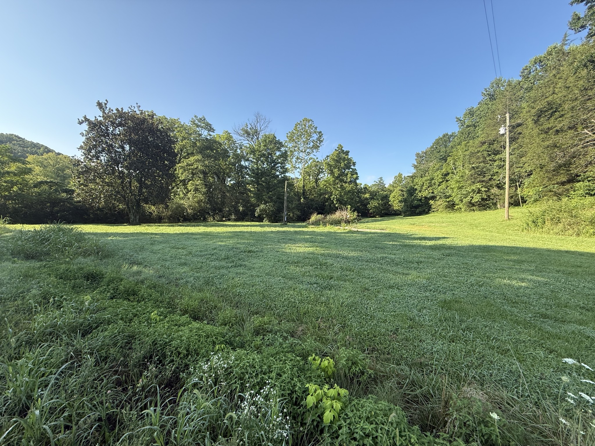 2407 Esque Sharp Road Mount Pleasant, TN 38474 - Photo 1 of 18 Gallery Image 1