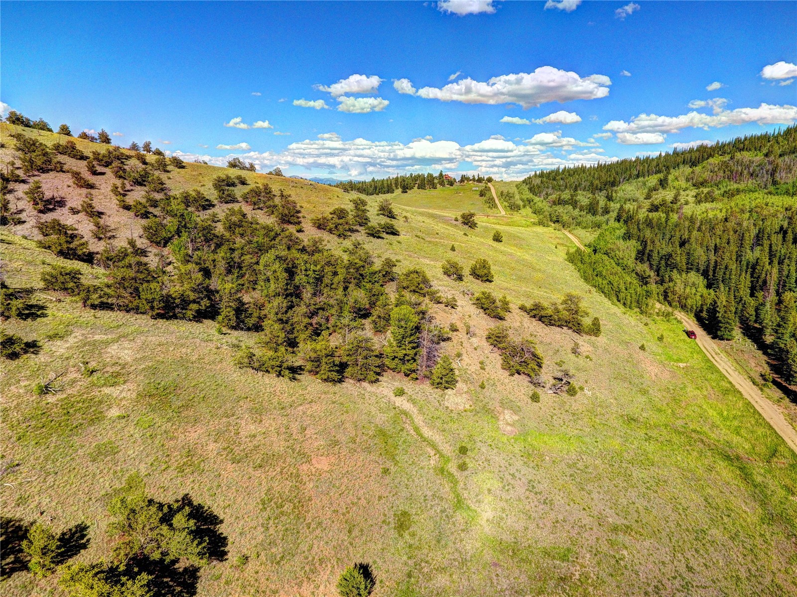 2739 Reinecker Ridge Road Fairplay, CO 80440 - Photo 10 of 13 Gallery Image 10