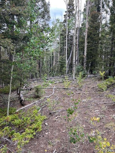 Lot 6184 Ryland Road San Luis, CO 81152 - Photo 13 of 32 a backyard of a house with lots of green space