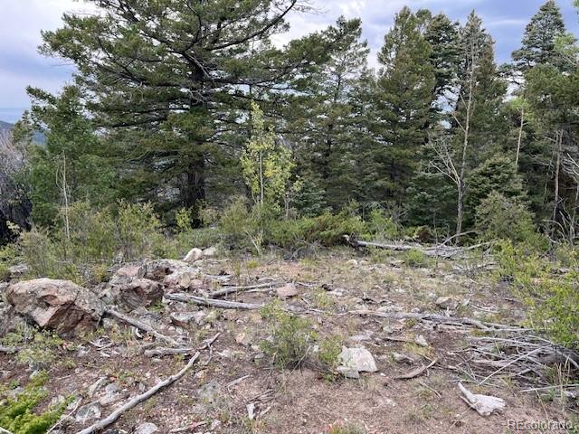 Lot 6184 Ryland Road San Luis, CO 81152 - Photo 14 of 32 a view of a forest with trees