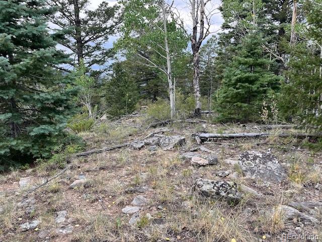 Lot 6184 Ryland Road San Luis, CO 81152 - Photo 16 of 32 a view of a dry yard with trees