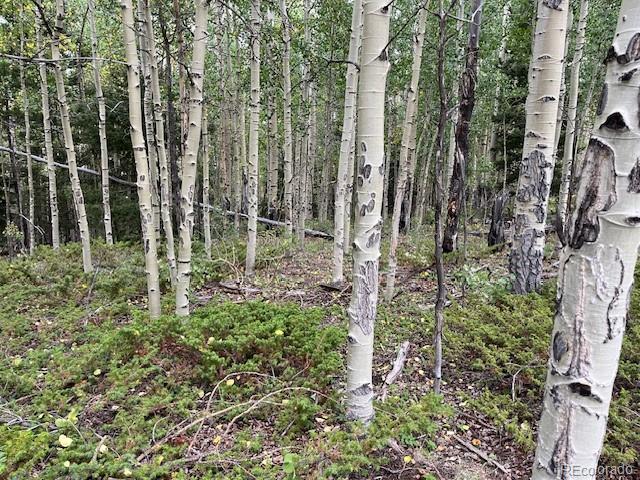 Lot 6184 Ryland Road San Luis, CO 81152 - Photo 18 of 32 a view of yard