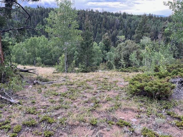 Lot 6184 Ryland Road San Luis, CO 81152 - Photo 19 of 32 a view of a yard