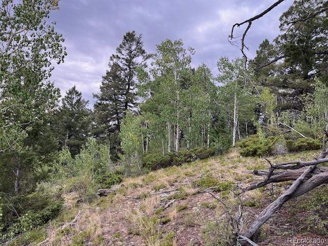 Lot 6184 Ryland Road San Luis, CO 81152 - Photo 21 of 32 a backyard of a house with lots of green space