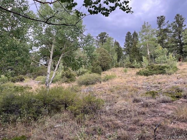 Lot 6184 Ryland Road San Luis, CO 81152 - Photo 22 of 32 a view of a yard with a tree
