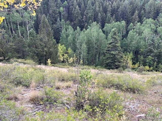 Lot 6184 Ryland Road San Luis, CO 81152 - Photo 24 of 32 a view of a yard with plants and large trees