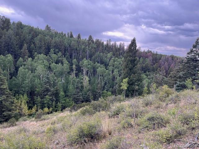 Lot 6184 Ryland Road San Luis, CO 81152 - Photo 25 of 32 a view of a covered with trees in the background