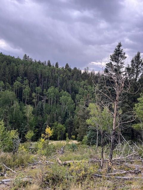 Lot 6184 Ryland Road San Luis, CO 81152 - Photo 26 of 32 a view of a yard with a tree