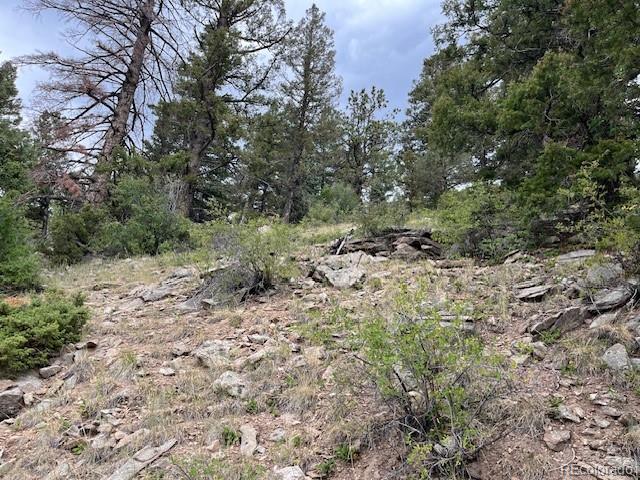Lot 6184 Ryland Road San Luis, CO 81152 - Photo 27 of 32 a view of a forest with trees in the background
