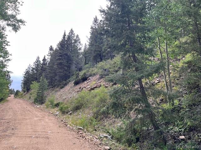 Lot 6184 Ryland Road San Luis, CO 81152 - Photo 30 of 32 a view of a forest with trees in the background